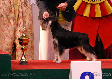 QUEEN del Valle de Samano